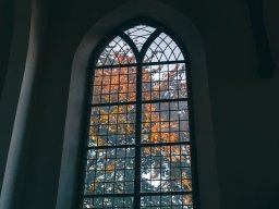 Singelkerk